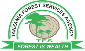 TFS logo